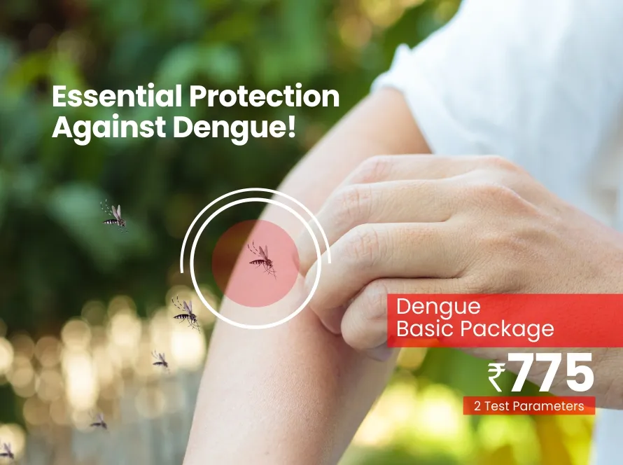 dengue-basic-pkg